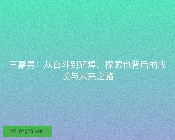 王嘉男：从奋斗到辉煌，探索他背后的成长与未来之路