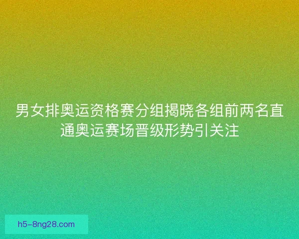男女排奥运资格赛分组揭晓各组前两名直通奥运赛场晋级形势引关注